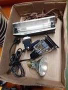 Assorted Lights, Bug Zapper & Desk Lamp