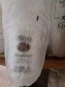 Box of 12oz Plastic Cups