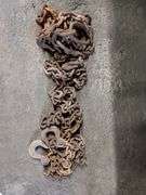 Assorted Lengths of Chain