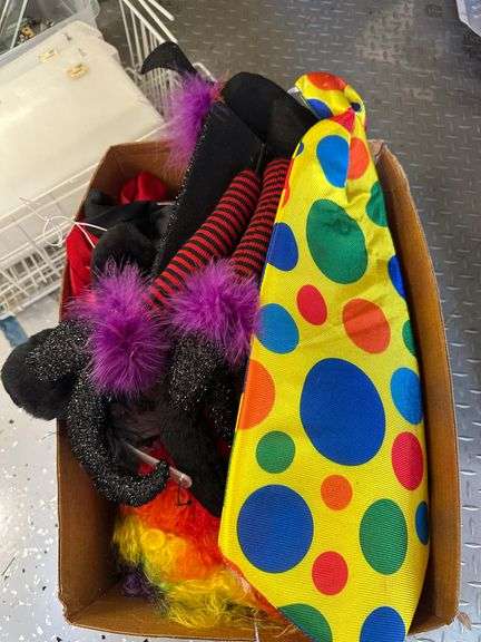 Assorted Halloween Costumes & Accessories