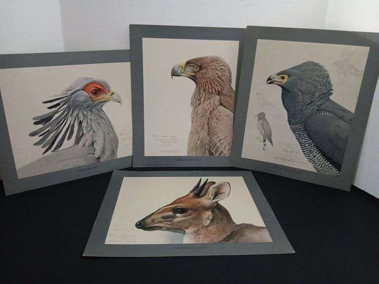 (4) Field Museum Animal Prints