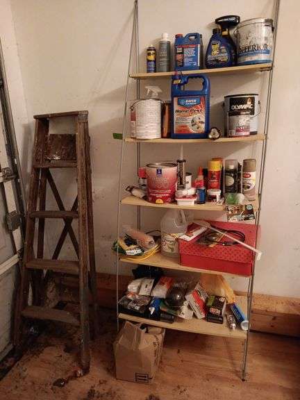 Shelf and Contents and Wooden Ladder