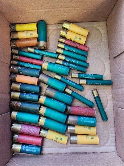 Assortment of Shotgun Shells (Various Gauges)