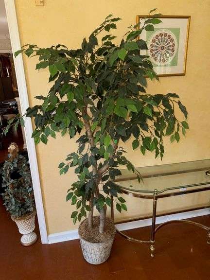 Decorative tree • 69” • Living room