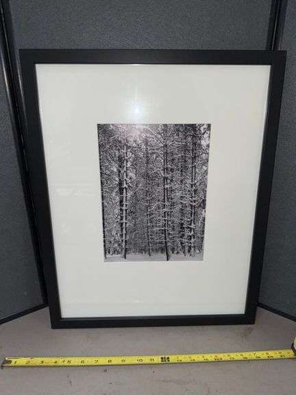 Framed photograph • 17x22 • Sun room