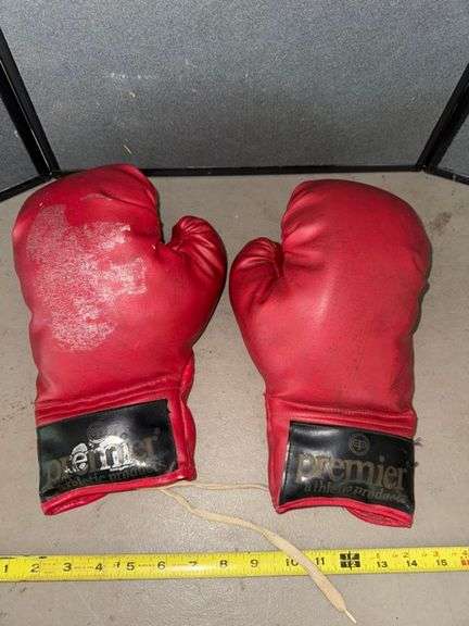 Premier boxing gloves • Garage •  ( Click for More Photos )