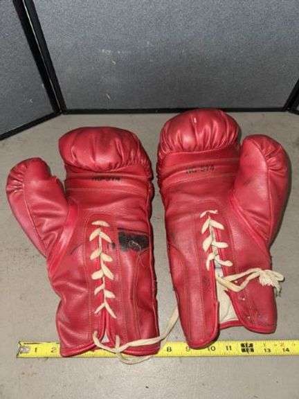 Premier boxing gloves • Garage •  ( Click for More Photos )