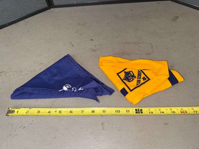 Cub scouts and boy scouts bandanas • Sun room
