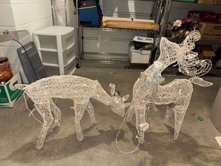 Outdoor lighted reindeer decor • Basement (storage)