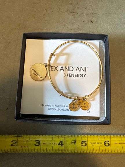 Alex and ani energy charm bracelet • Kitchen