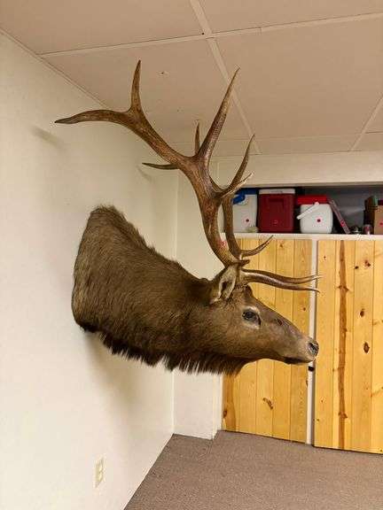 Moving Auction ending April 6,  2026
