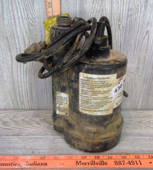 Submersible Utility Pump Dunker Auction