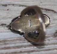Ring: Marked .925 - Dunker Auction