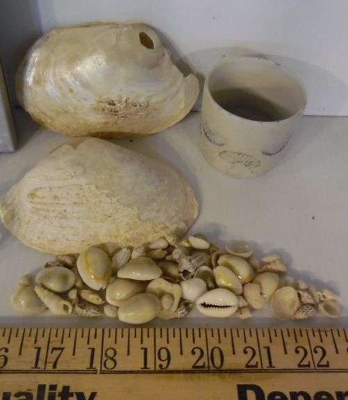 Clock, Shells, Paperweight
