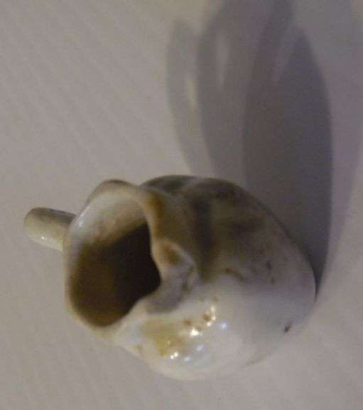 Clock, Shells, Paperweight