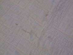 Quilt - Embroidered, Pieced & Quilted By Erna Meyer (Koch) C. 1920s - 64" x 86"