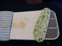 Shark Vertical Steam Iron & Iron Board