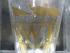 NWTF Glass Mugs & Glasses