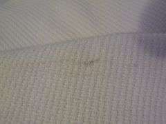 Cotton Blanket