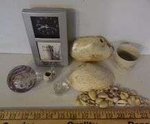 Clock, Shells, Paperweight