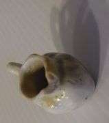 Clock, Shells, Paperweight