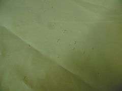 Sprinkler, Car Sunshade, Mighty Wipe, Curtain