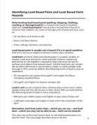 Lead Base Paint Information: See Description & Photos
