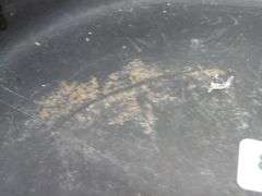 Griswold Cast Iron Skillet