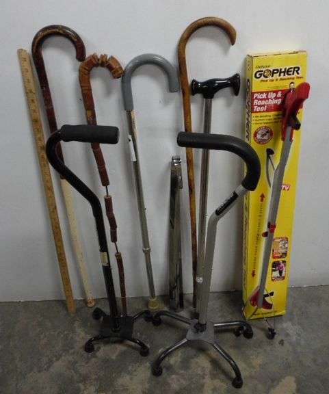 Marsh Cane Collection Cane Collection - Dunker Auction