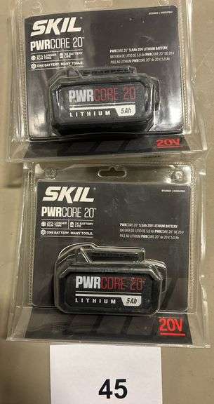 (2) SKIL PWRCORE 5.0AH 20V LITHIUM BATTERIES