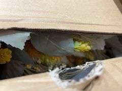 30" HARVEST WREATH IN BOX - CATTAILS