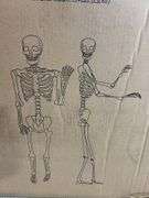 2PC ANIMATED SKELETON DECOR IN BOX - BRONZE