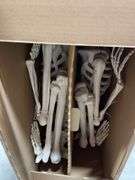 2PC ANIMATED SKELETON DECOR IN BOX - BONE