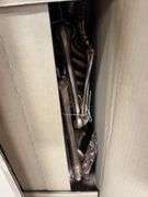 2PC ANIMATED SKELETON DECOR IN BOX - BRONZE