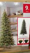 9FT PRE LIT SLIM LINDEN FIR TREE IN BOX