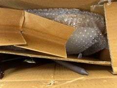 ACHLA LOLLY BIRD BATH IN BOX - YELLOW