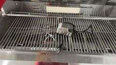 THOR 8 BURNER GAS GRILL