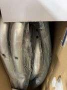 DRIVE SHOWER CHAIR W/ BACK IN BOX - GREY