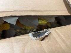 30" HARVEST WREATH IN BOX - CATTAILS