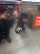 FRIGIDAIRE 7.0CU FT CHEST FREEZER - BLACK