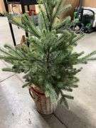 48" PRE LIT HOLIDAY TOPIARY