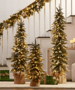 3PC PRE LIT FROSTED TREES IN BOX - FLOCKED