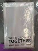 (2) SATIN BEAUTY PILLOWCASES