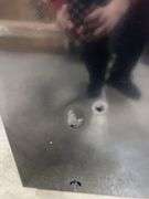 FRIGIDAIRE 7.0CU FT CHEST FREEZER - BLACK