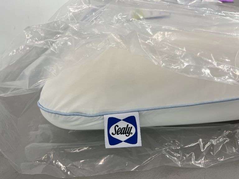 SEALY DREAMLIFE PILLOW