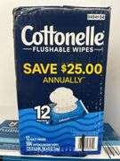(2) BOXES OF FLUSHABLE WIPES