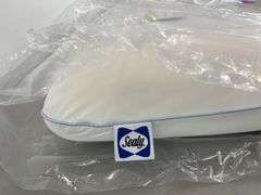 SEALY DREAMLIFE PILLOW