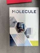 MOLECULE QUEEN PILLOW
