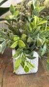 MISC HOME DECOR LOT - SEE PHOTOS