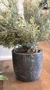 MISC HOME DECOR LOT - SEE PHOTOS